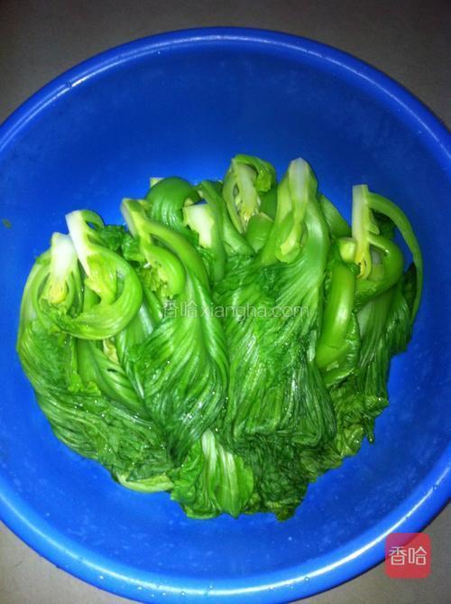 将烫好的芥菜捞起,放到一个比较大的容器里晾凉,我用的是大脸盆.