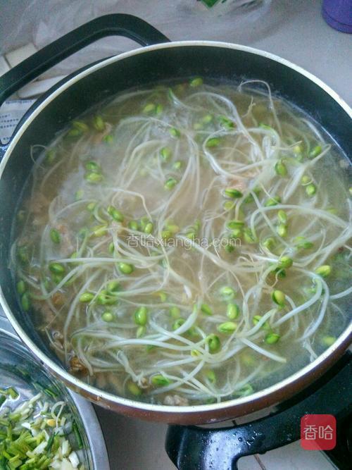 豆芽肉片汤