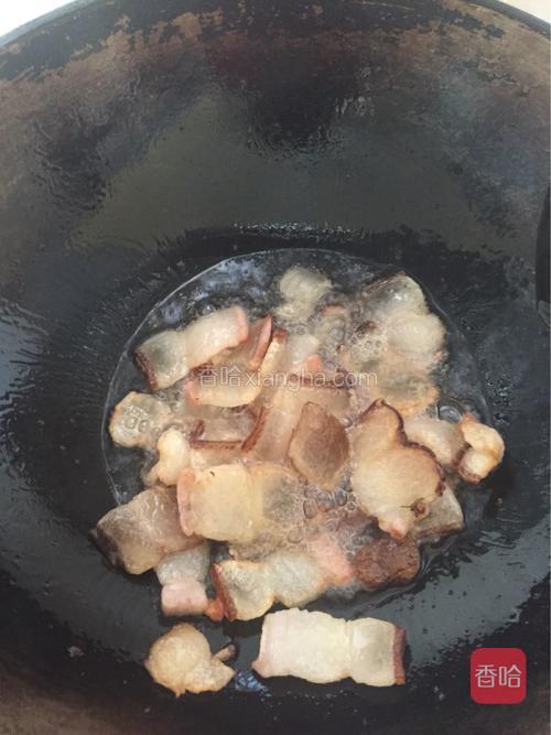 锅内下辣肥肉煸炒至肉透明出油