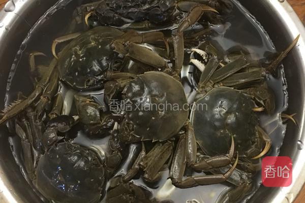 卤菜谱的做法_河蟹v菜谱菜谱的图片