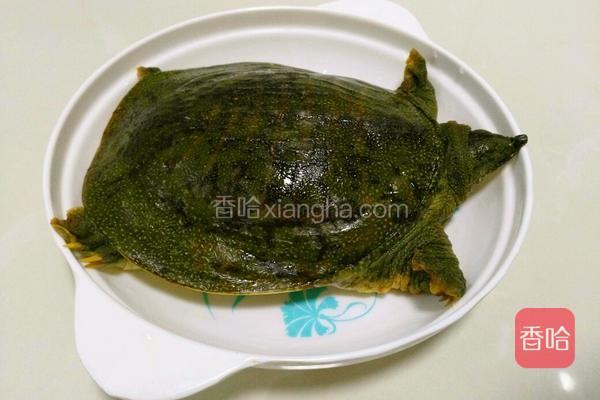 排骨烧火锅芜湖牛尾巴甲鱼图片