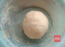 香料常用饼煮猪肉酸菜猪肉图片