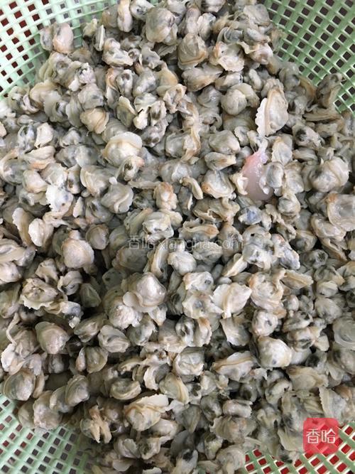 洗好蚬肉沥干水份备用