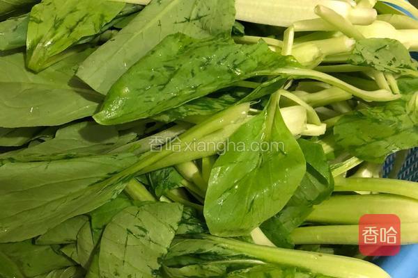 爆腌菜的做法_豆腐做法a做法菜谱图片