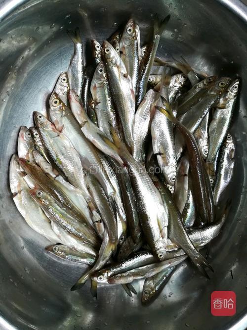 油炸小河鱼