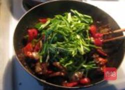 MjUwX2MyOjEvM15yYjI6MS84XzE4MA