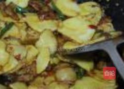 MjUwX2MyOjEvM15yYjI6MS84XzE4MA