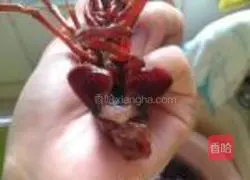麻辣小龙虾的做法图解4