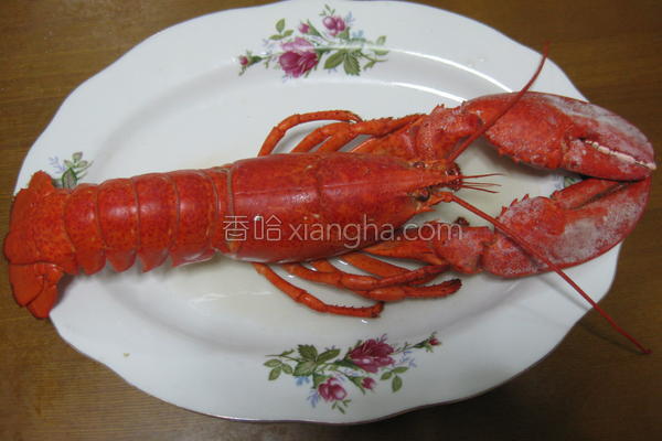 澳洲大龙虾做法大全 NjAwX2MxXzQwMA