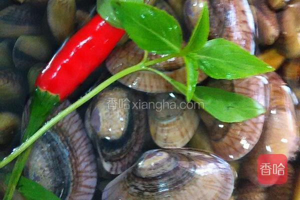 薄壳和花甲养下水,去沙