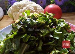 蒲公英的吃法大全 图片 MjUwX2MyOjEvM15yYjI6MS84XzE4MA