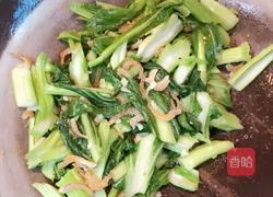 MjUwX2MyOjEvM15yYjI6MS84XzE4MA