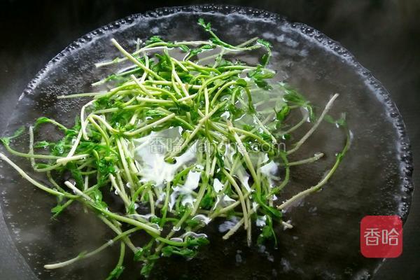  把豌豆苗入开水锅中快速氽烫一下，投入饮用水中过凉备用。 