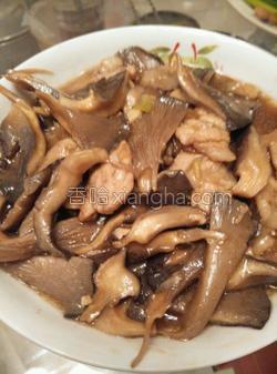 蘑菇炒肉的做法大全最好吃 MjUwX2MxXzA