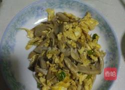蘑菇炒鸡蛋的做法窍门图片 MjUwX2MyOjEvM15yYjI6MS84XzE4MA