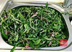 蒲公英的吃法大全 图片 MjUwX2MyOjEvM15yYjI6MS84XzE4MA