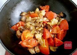 西红柿土豆炖牛肉的做法图解7