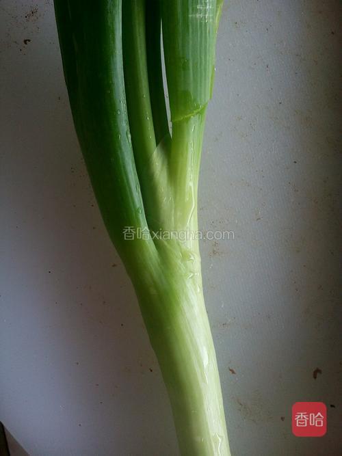 一根大葱