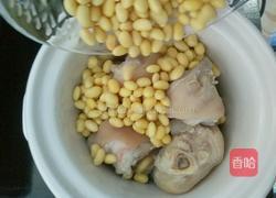 MjUwX2MyOjEvM15yYjI6MS84XzE4MA