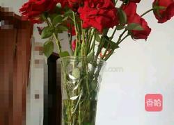 如何制作干玫瑰花瓣 MjUwX2MxOjEvM15yYjI6MS84XzE4MA