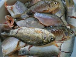 小鱼怎么处理干净图解 MjUwX2MxXzA