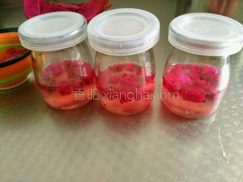 火龙果果冻的做法大全【图】_火龙果果冻的家