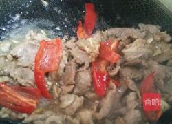 MjUwX2MyOjEvM15yYjI6MS84XzE4MA