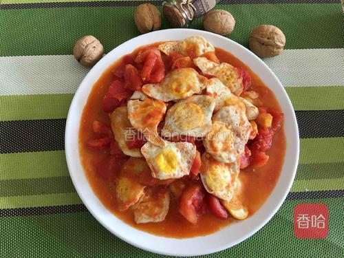 西红柿炒鹌鹑蛋
