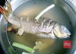 水鱼鞭是什么鱼做的 MjUwX2MyOjEvM15yYjI6MS84XzE4MA