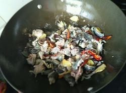 MjUwX2MxXzA