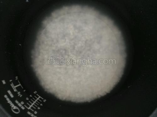 鲜虾瘦肉冬瓜粥的做法大全【图】_鲜虾瘦肉冬