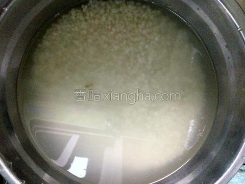 素扁豆焖饭的做法大全【图】_素扁豆焖饭的家