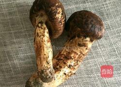 松茸图片怎么画 MjUwX2MyOjEvM15yYjI6MS84XzE4MA