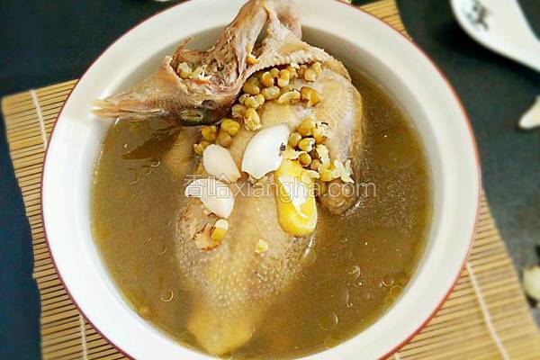 乳鸽百合炖绿豆汤