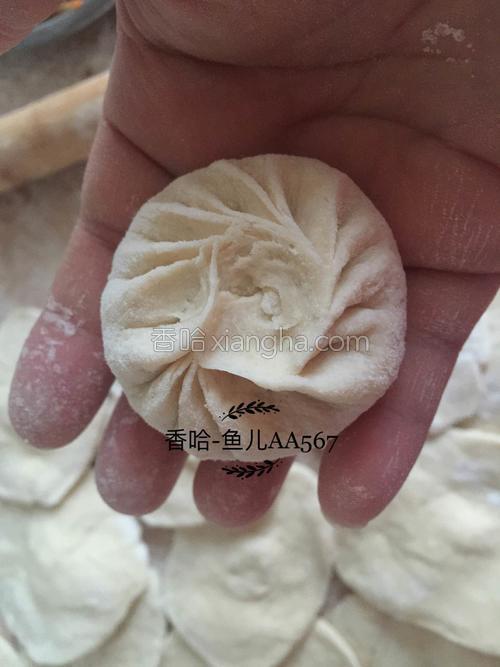 牛肉胡萝卜木耳包子的做法大全【图】_牛肉胡