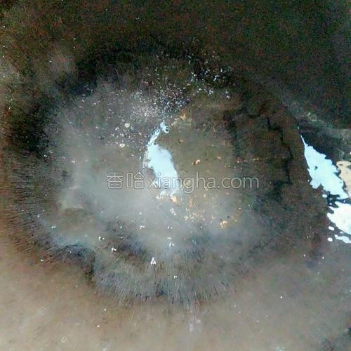 椒盐绿豆饼的做法大全【图】_椒盐绿豆饼的家