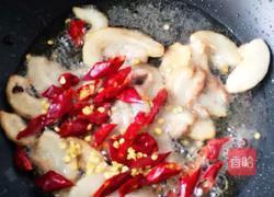 MjUwX2MyOjEvM15yYjI6MS84XzE4MA