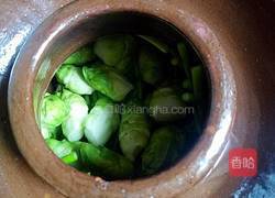 泡菜坛子的做法和配料 MjUwX2MyOjEvM15yYjI6MS84XzE4MA