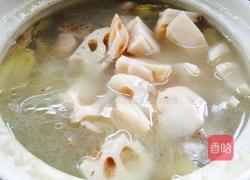 MjUwX2MyOjEvM15yYjI6MS84XzE4MA