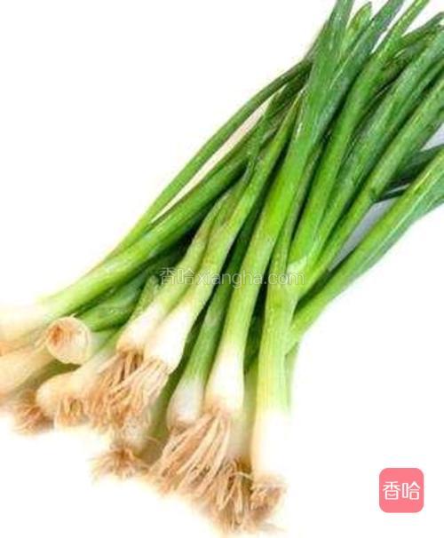 葱油扁鱼的做法_菜谱_香哈网