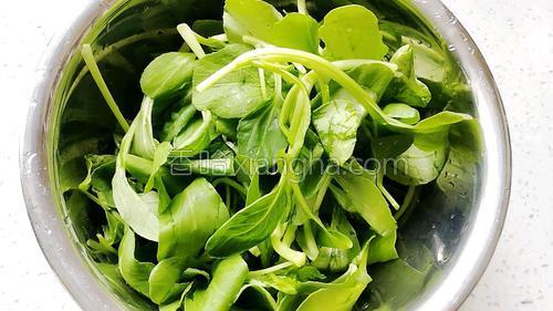 香菇青菜肉末馄饨馅的做法大全【图】_香菇青