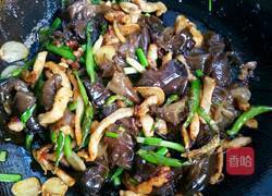 MjUwX2MyOjEvM15yYjI6MS84XzE4MA