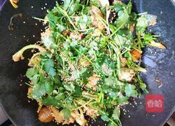 MjUwX2MyOjEvM15yYjI6MS84XzE4MA